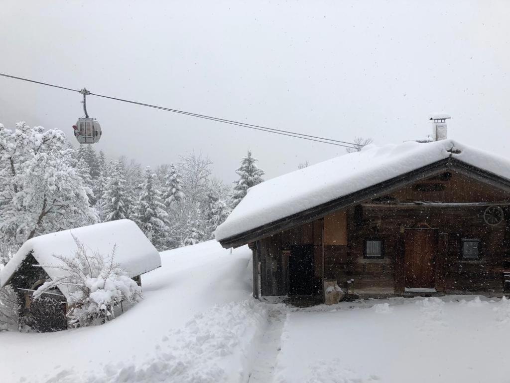Woelzenberg Alm Διαμέρισμα Reith im Alpbachtal Εξωτερικό φωτογραφία