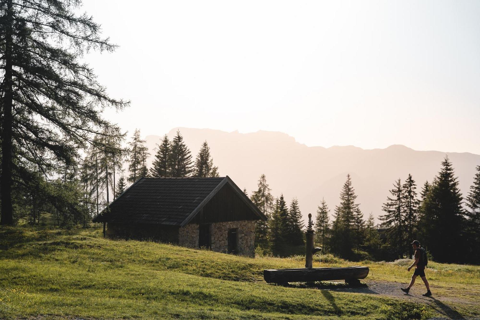 Woelzenberg Alm Διαμέρισμα Reith im Alpbachtal Εξωτερικό φωτογραφία